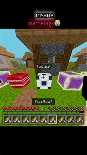 I Found the MOST INSANE Name Tags in Minecraft! 🤯 | #minecraft