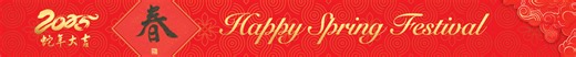 Spring Festival 2025