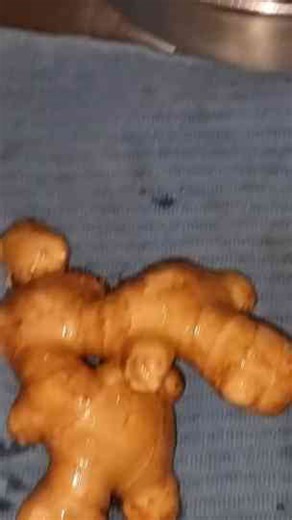 This is Why I SOAK Ginger in Water BEFORE Planting #Shorts