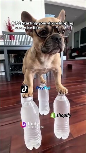 POV: starting your dropshipping journey be like...#dropshipping #ecommerce #makemoney #businesstips