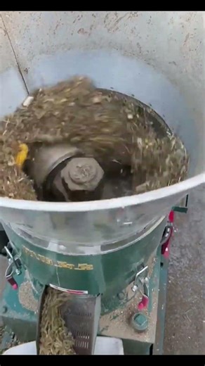 Workshop Corn and Vegetable Processing Machine