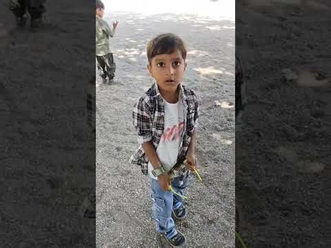 LIVE NOW! 🥰 Funny Fails & Backyard Playtime! The garden is their new playground! 🏃‍♀️💨