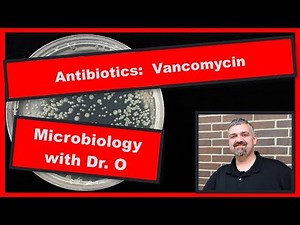Vancomycin and VRE: Microbiology