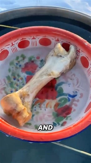 This Ancient Chinese Ice Trick Kept Food Frozen for Months ❄️ #interesting #didyouknow