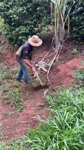 Can You Guess the Tool ⛏️