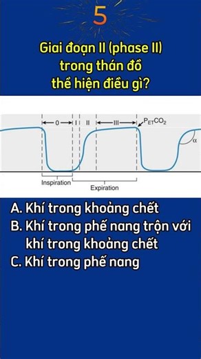 Giai đoạn II (phase II) trong thán đồ thể hiện điều gì?