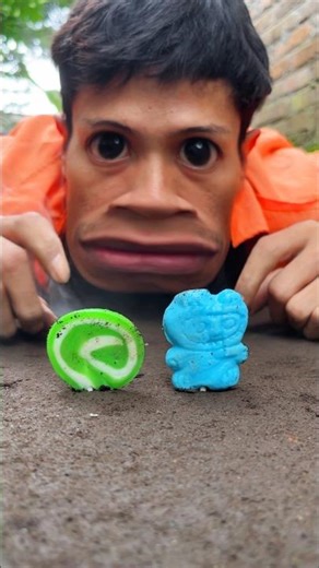 The trap worked, The millipede finally emerged, lured out by the candy bait #milliedes