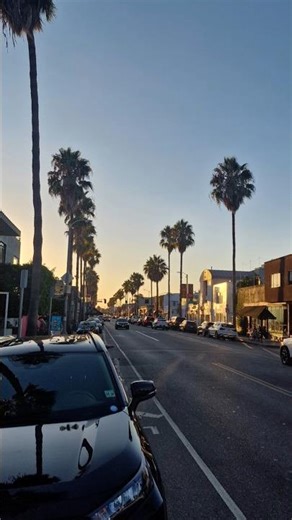 LA Venice Vibes + Golds Gym ☀️