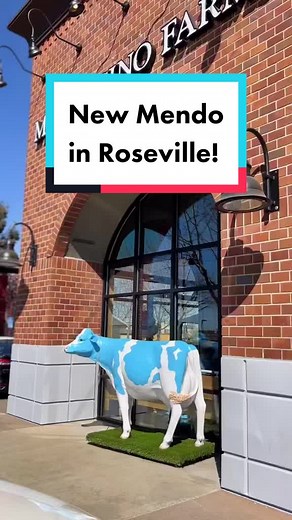 Mendocino Farms on TikTok