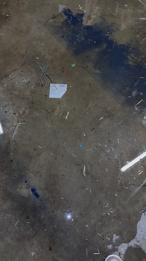 12 reactions · 4 comments | Raining in our warehouse SALE! Buffalo Pet Supply 1345 Military rd Kenmore NY 14217 Call 7168741951 with questions. Pricing, condition and availability all in our last post! First come first serve we will be open 11am-7pm today All sales are final Cash preferred No holds All used tanks last held water unless marked otherwise but have been in storage for a year so fill with water at your own risk. | Buffalo Pet Supply | Facebook