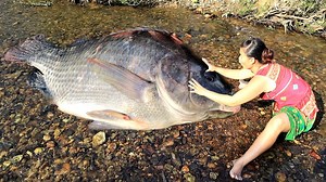 79K views · 2.6K reactions | Skills Primitive Catching Fish Stuck - Catch Fish On Shallow Rocks | Embrace your Heart | Facebook