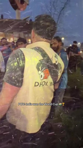 India Triumphs in Cricket World Cup Celebration