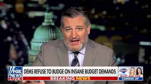 95K views · 8.3K reactions | George Soros is writing the checks financing some of the groups behind “No Kings,” as well as previous political violence in our cities. That's how left-wing political violence happens. Different groups don't always talk to each other, because they don't have to. My Stop FUNDERs Act enables the government to hold the financiers of left-wing violence accountable. | Senator Ted Cruz | Facebook