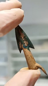 279K views · 6.6K reactions | Europe's Most Ancient Known Battlefield: Tollense Valley Germany #historicaltidbits #history #germany #bronzeage #archaeologynews #ArchaeologicalDiscovery | Historical Tidbits | Facebook