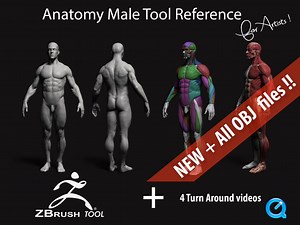 Anatomy Male Tool Reference for Artists !