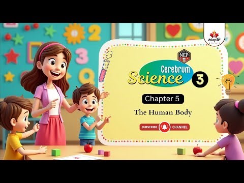 Chapter 5 | The Human Body | Science Class 3 | Maple Books