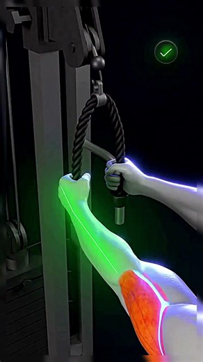 Triceps workout with a pulley, done the right way