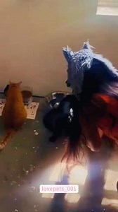 1.4M views · 32K reactions | Mask prank.#cats #cutecats #foryou #funnytiktok #funnyvideos #uk #funnyanimals #fypシ #cute #funnycat #catlover #funnypets #viral #funny | Lovepets-001 | Facebook