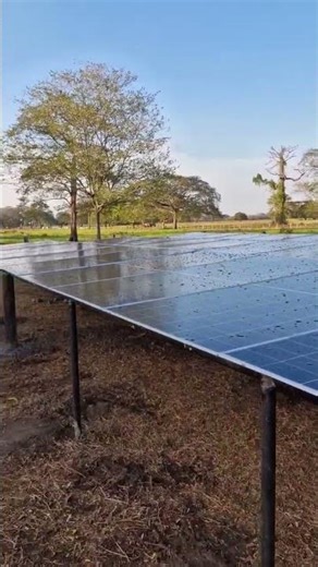 Plant Irrigation Solar Water Pump System