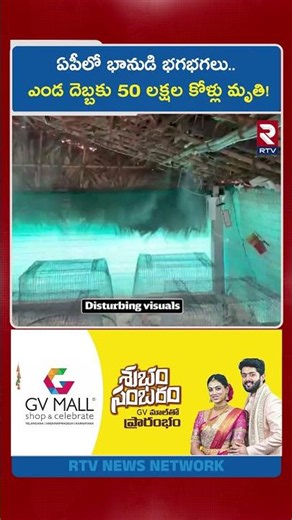 ఏపీలో భానుడి భగభగలు.. ఎండ దెబ్బకు 50 లక్షల కోళ్లు మృ*తి! | Heat Wave Alert to AP | RTV