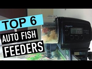 BEST 6: Auto Fish Feeders