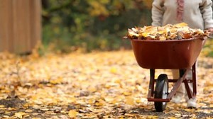 Senior woman pushing wheelbarrow