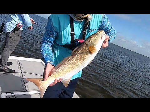 Inshore Flats Fishing for Redfish and Trout at Horseshoe Beach