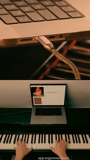 organova.music on Instagram: "Harpsichord Stops Organova (BETA) — play premium virtual instruments directly in your web browser No install. Just connect your MIDI keyboard and play instantly. Try now at: https://app.organova.music (BETA) Clavecin Franco-Flamand - Ateliers Marc Ducornet, France Recorded at Malambo Studio, France"