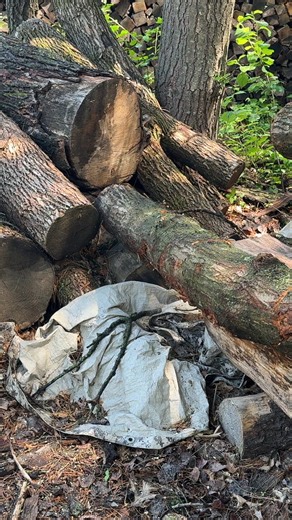 47K views · 456 reactions | Log Cutting #chainsaw #firewood #stihl | Back 40 Firewood | Facebook