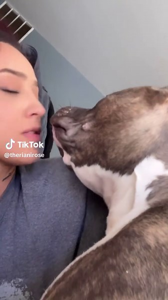 Humans vs Animals: Funny Confusion Explained