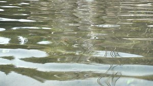 Water Movement Background