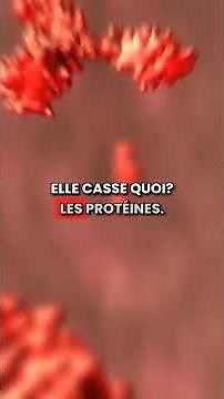 Comment les Enzymes Digestives Impactent le Métabolisme