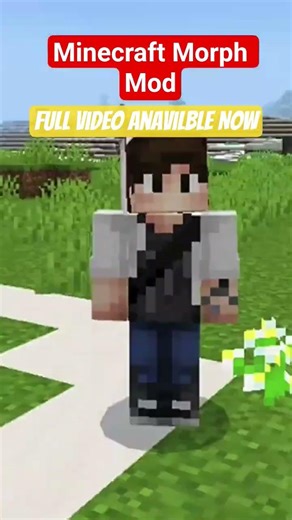 Minecraft Morph Mod #minecraft #shorts