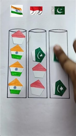 Indian flag 🇮🇳 Indonesia flag 🇮🇩 Pakistan flag 🇵🇰 art in pentagon shape #flag #shorts #republicday