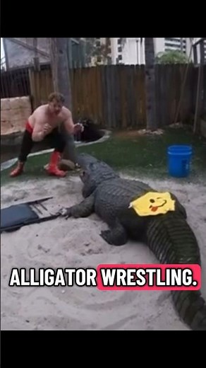 Alligator Wrestling