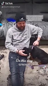 172K views · 2.3K reactions | Stopping a walking land shark in 3 days | Southend Dog Training | Facebook