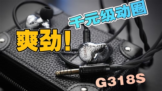 这条单动圈耳机，很不一样？千元级的丽弦G318S