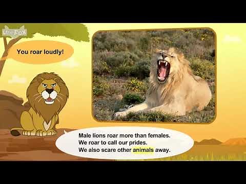 L2 029 Meet the Animals 29 African Lion