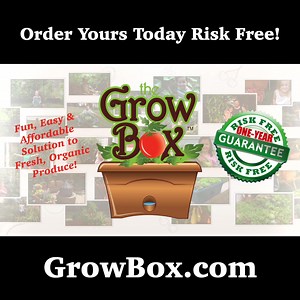 Want a weed-free, chemical-free garden with minimal effort? The Original GrowBox lets you grow fresh, organic vegetables, fruits, and herbs anywhere – just add water and watch it thrive. Enjoy homegrown produce without the hassle! | GrowBox by The Garden Patch