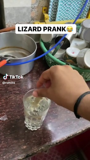 Lizard Prank 🤣