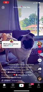 2.6K views · 31 reactions | Use your Favorite dog’s words. | True Southern Accent | Facebook