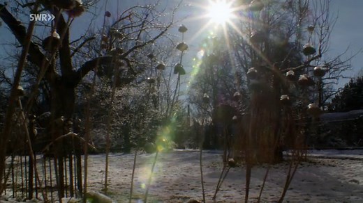 planet schule: Leben im Garten · Tiere und Pflanzen