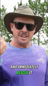 Organic Fertilizers: Best Planting Strategy for Fall