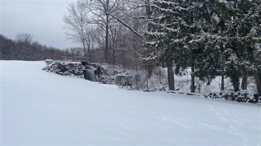 Getting to enjoy the beautiful scenery instead of working in it! Hope everyone is being careful on the roads today!!! ❄️🐶 | Lisa LaRocca