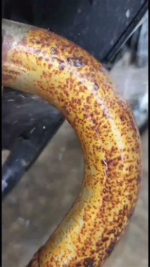 Multi-Purpose Rust Remover Spray