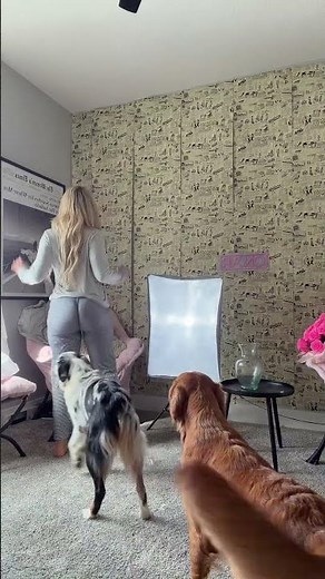 Cute Dogs Vibing with Dancing Girl 💃🐕 So Funny #viral #trending #dance #viralvideo #shorts #dog