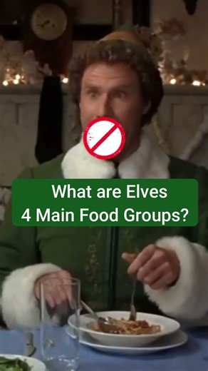 Elf Trivia - Can You Name the 4 Main Food Groups?1?🎅🏼 #funny