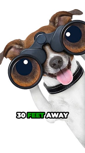 You can’t always see roof damage from the ground — but we can. 👀 Our trained inspectors spot the small details that make a big difference in protecting your home before issues turn into costly repairs. Don’t wait for a leak to find out there’s a problem. Message us today to learn more about our free roof inspections. #RoofingProsUSA #FloridaRoofing #JacksonvilleRoofing #OcalaRoofing #FloridaHomes #StormReady #RoofReplacement #TrustedRoofers #HomeProtection #FloridaLiving | Roofing Pros USA- Jac