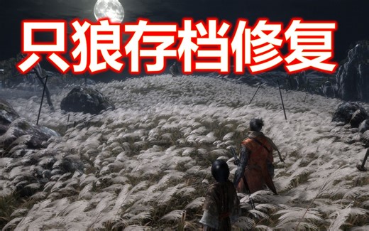 只狼存档修复方法（含解说和资源）