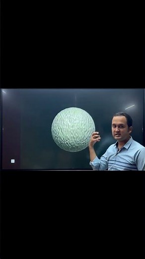 Sporophyte in bryophytes